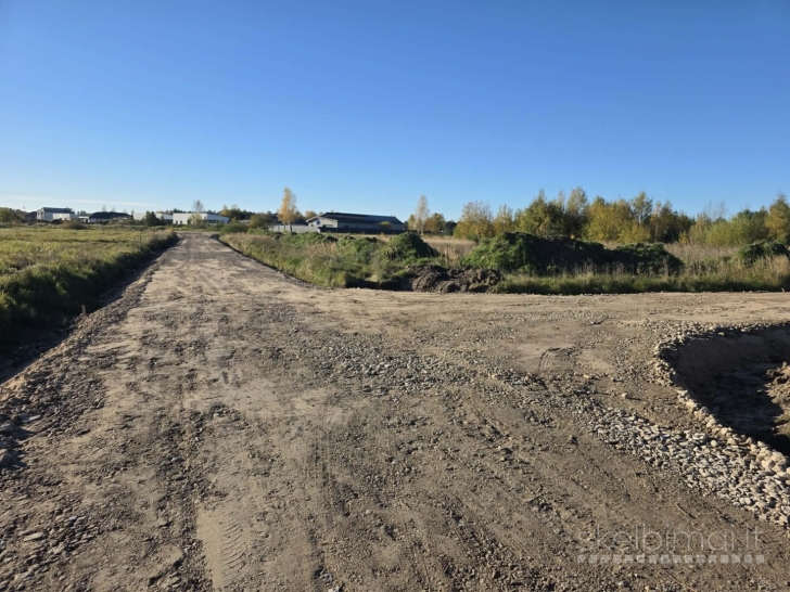PARDUODAMI ŽEMĖS SKLYPAI MAŽEIKIŲ R., REIVYČIŲ K., FALSBERGO G. 5